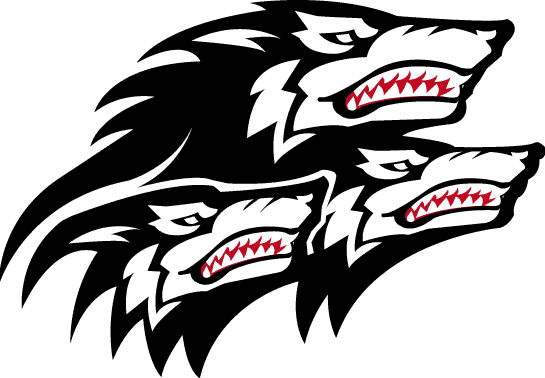North Carolina State Wolfpack 1999-2005 Alternate Logo iron on transfers for clothing